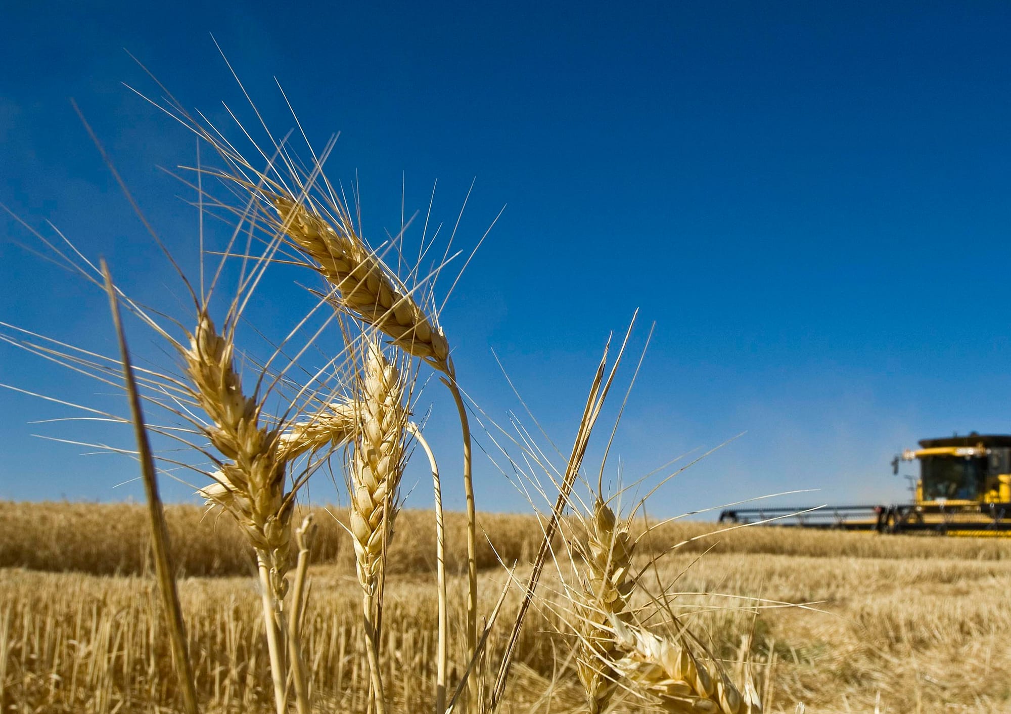 Food, wine and agribusiness to target $23 billion by 2030