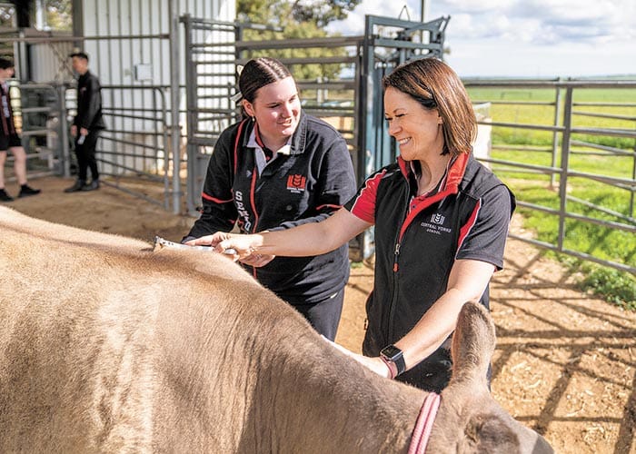 Teachers recognised on national stage