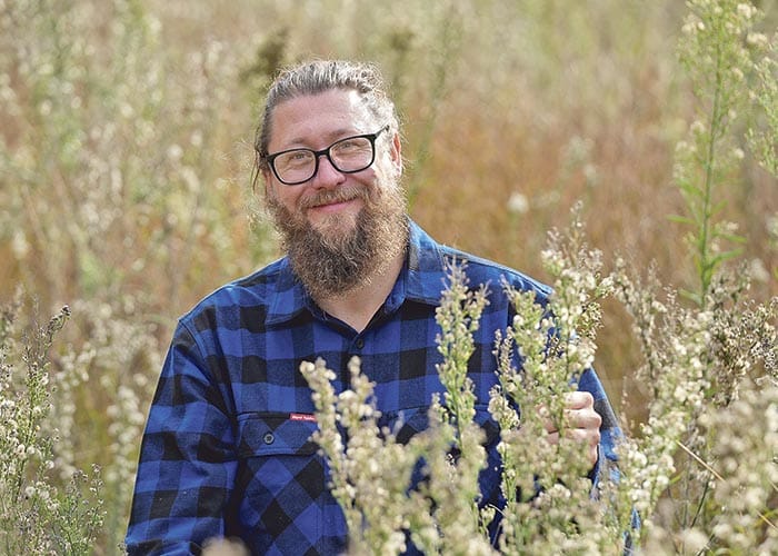 Fungus to fight fleabane
