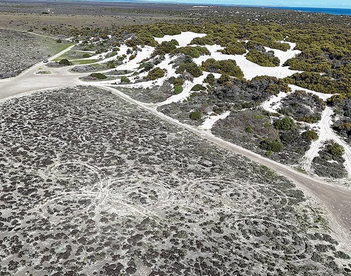 Cape Elizabeth ‘single biggest driving force’