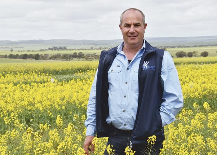 Hart Field Day returns for 40th anniversary