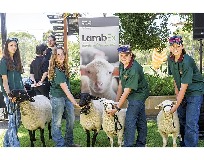 LambEx returns to Adelaide