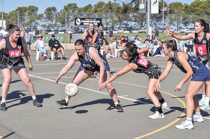 YPNA scores and reports