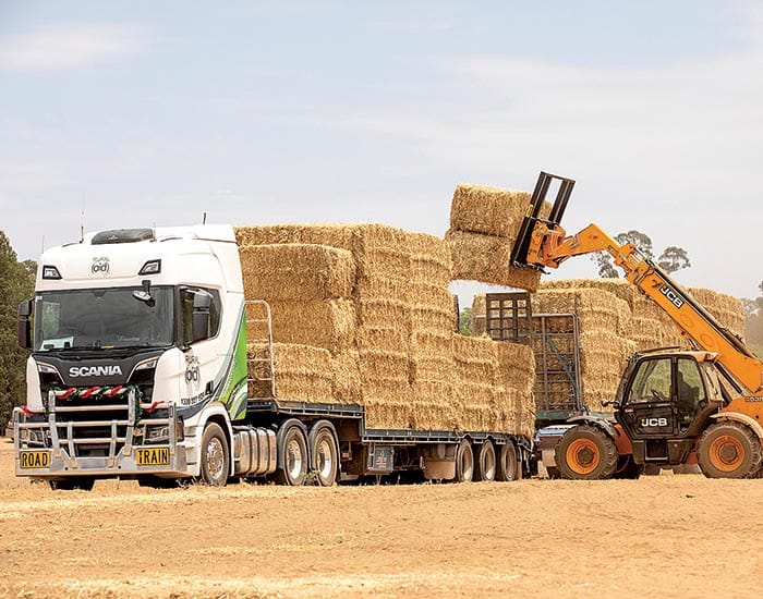 Hay on the way around SA