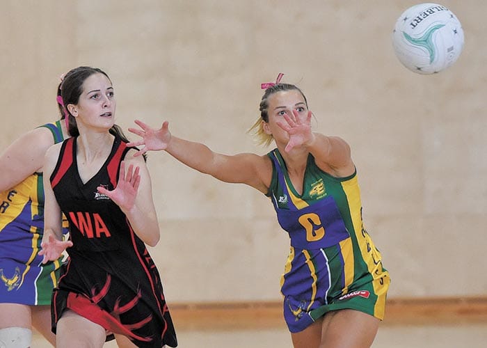 YPNA scores and reports