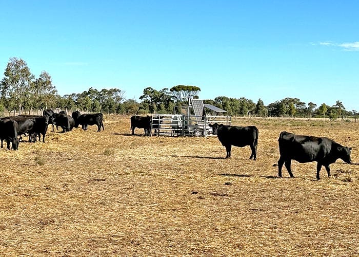 Research into methane production