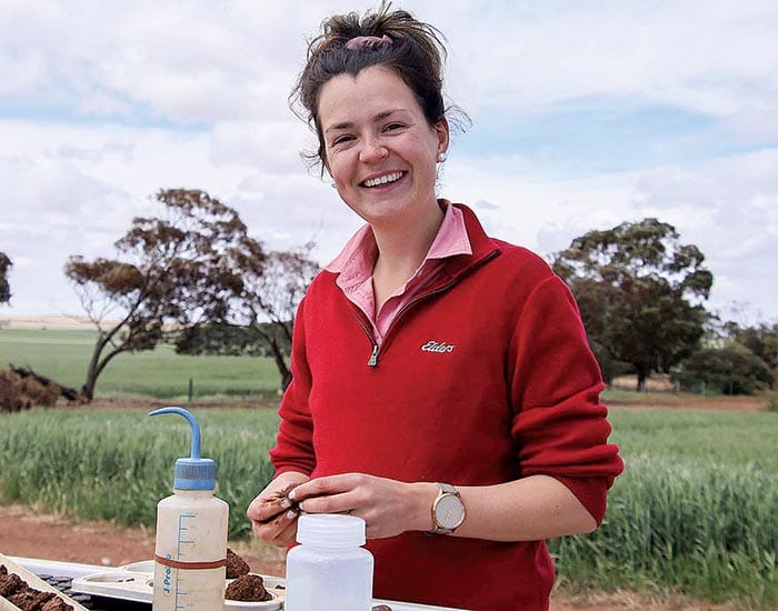 Spalding update to reveal latest from crop trials