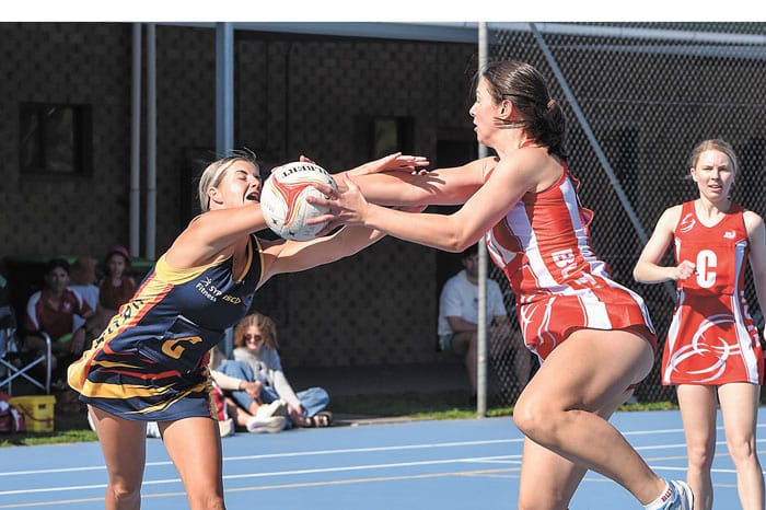 YPNA scores and reports