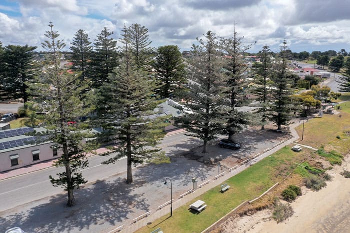 Debate takes root in council chambers