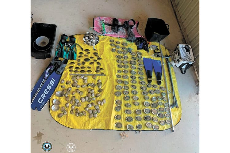 Group fined for abalone haul