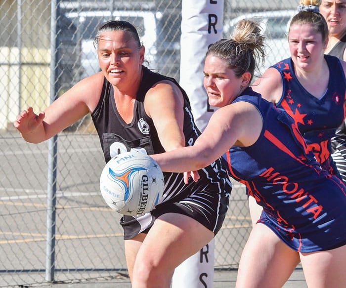 YPNA scores and reports