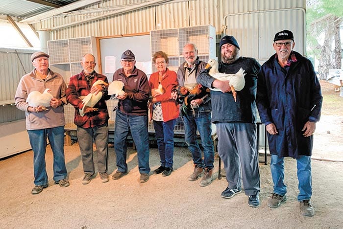 YP Poultry and Pigeon Club