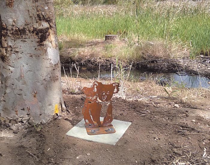 McCauley Park update