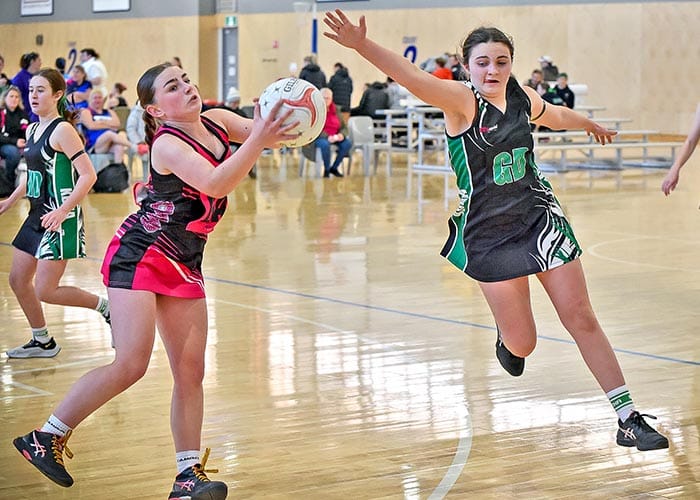 KDNA hosts annual carnival