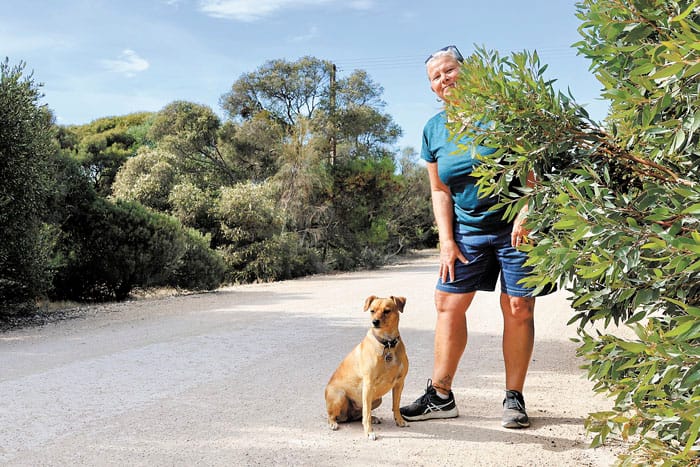 Fund our roads: Wool Bay won’t be left behind