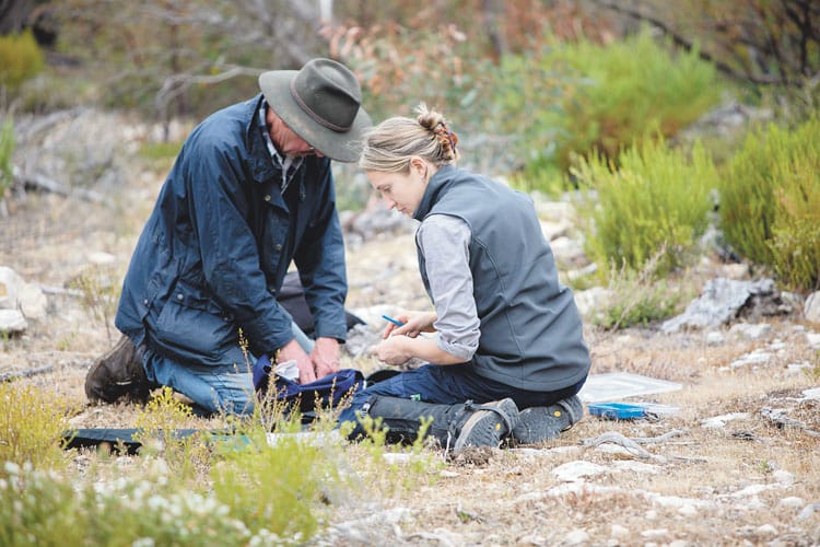 Bettongs back from extinction