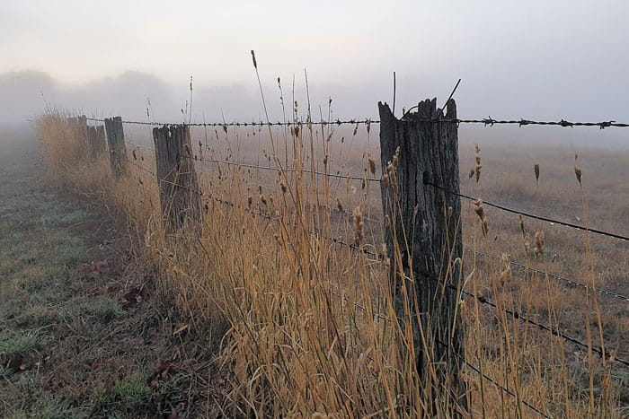 SYP Photography Club workshops and events