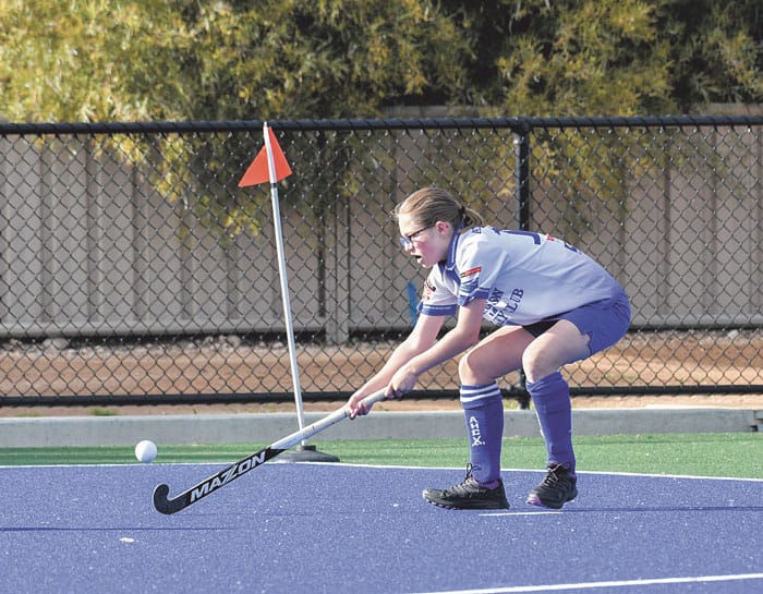 Help out your hockey club