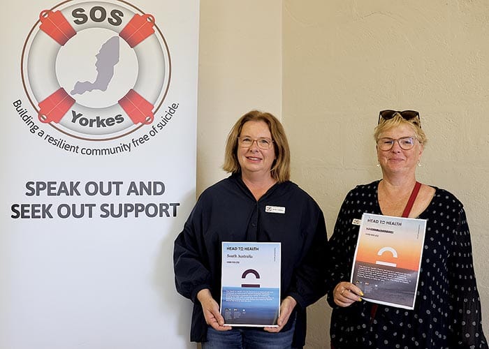 Search for youth mental health support