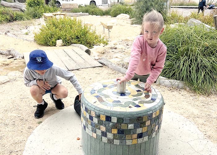 New plover pod nests at Point Turton