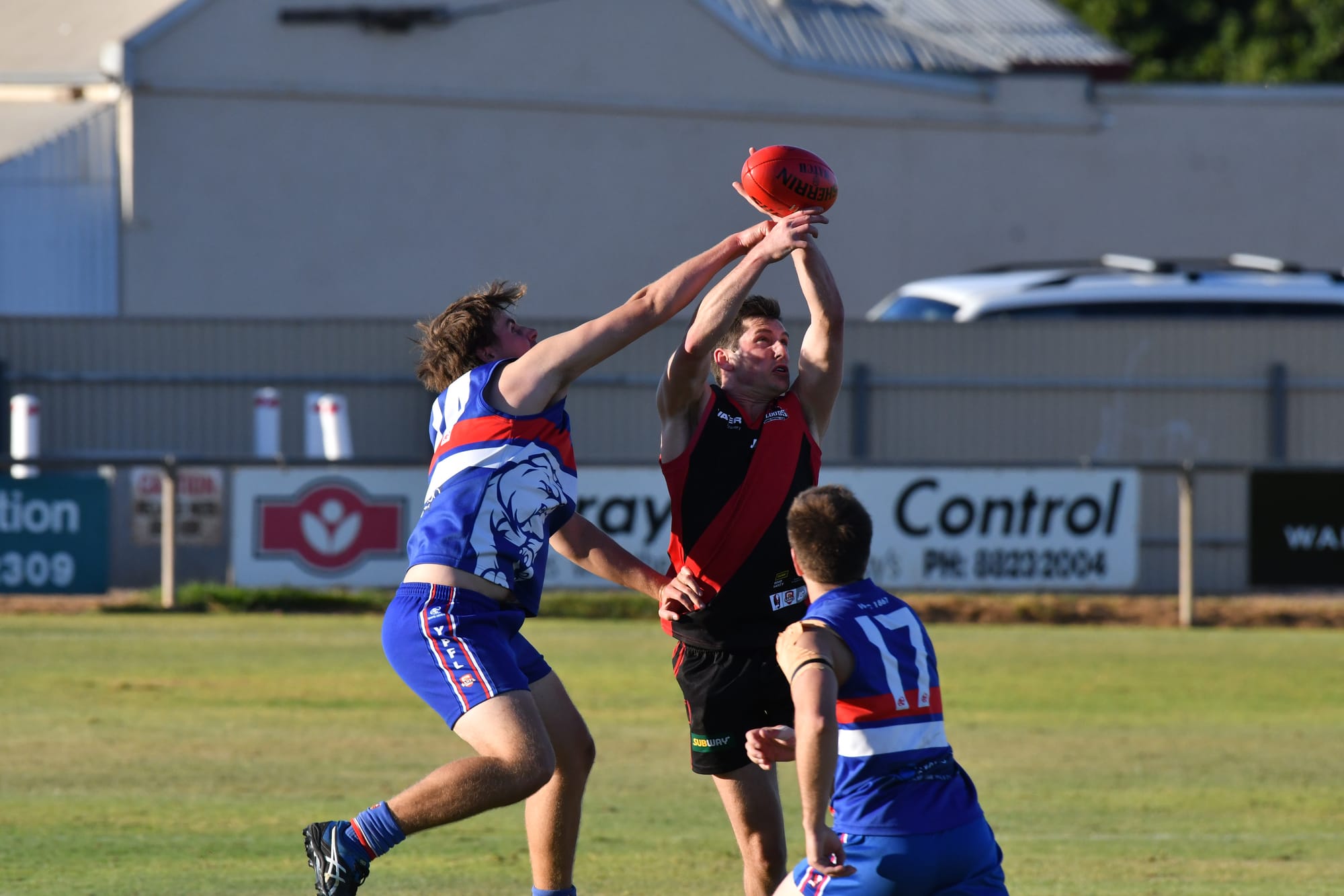 Sport to return - with crowds