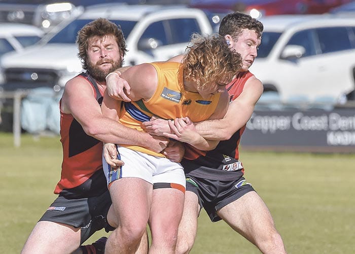 Bloodhounds run out comfortable winners