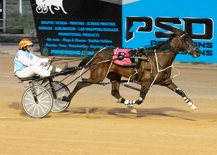 YP Harness Racing News