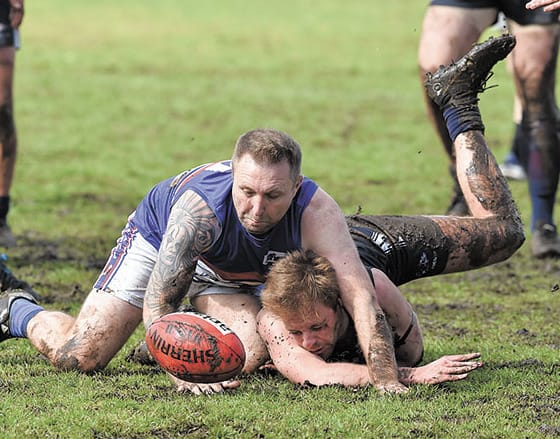 YPFL: Cougars defeat gallant Dogs