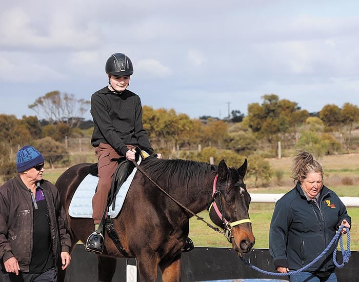 Horses ready to ride