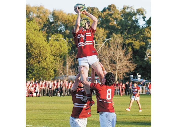 Pointon plays firsts rugby