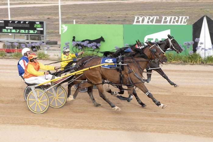 YP Harness Racing Club news