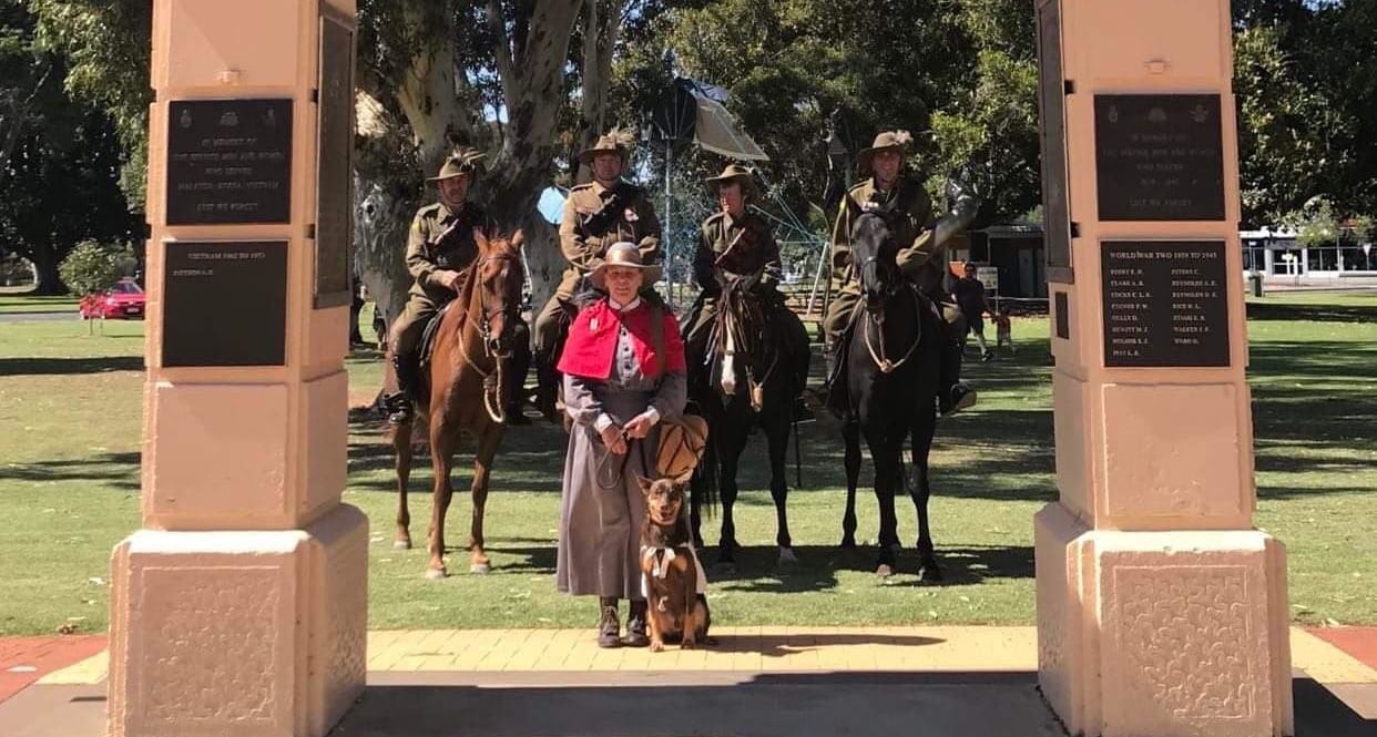 Light horses stop traffic