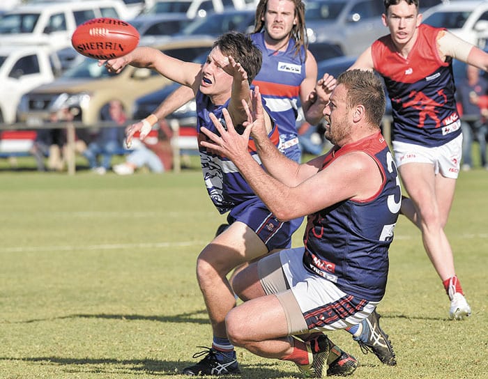 Eleventh heaven for Prokopec in big Demon win