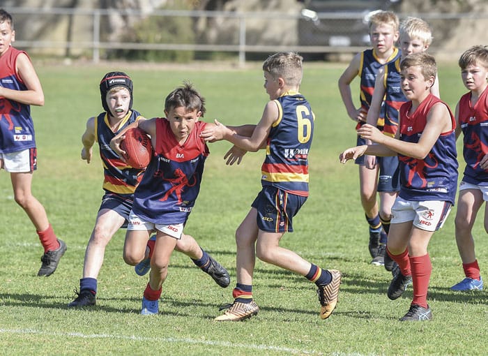 Junior football and netball carnivals back