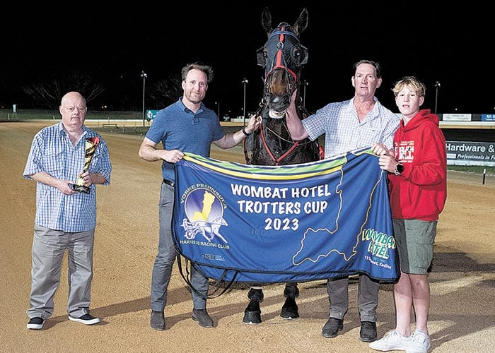 YP harness racing news