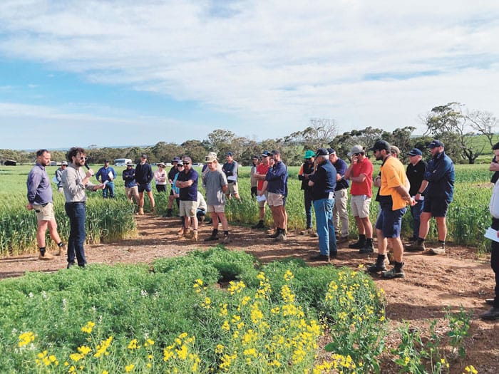 Farming systems project to inform decision-making