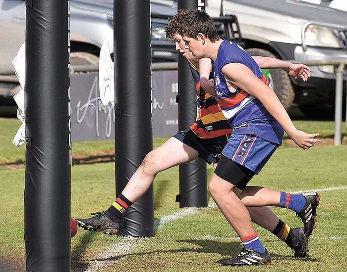 Climbing Crows defeat determined Dogs