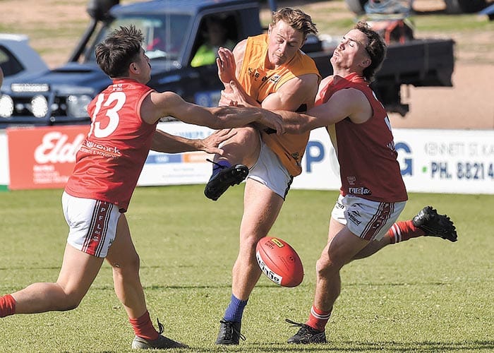 Roosters reign supreme