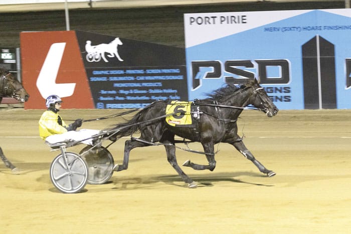 Sea Salt succeeds again