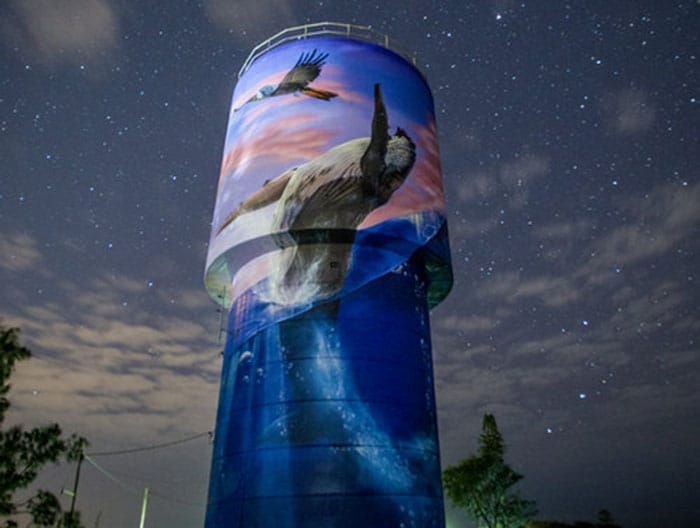 Artist chosen for Bute silos