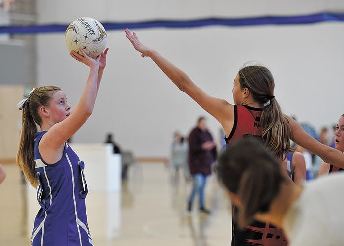 YPNA scores and reports