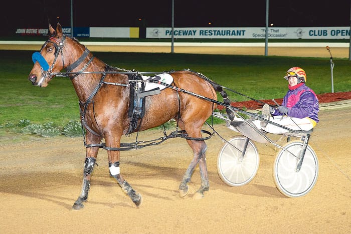 YP Harness Racing Club news