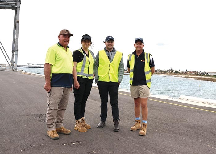 New YP options for lentils