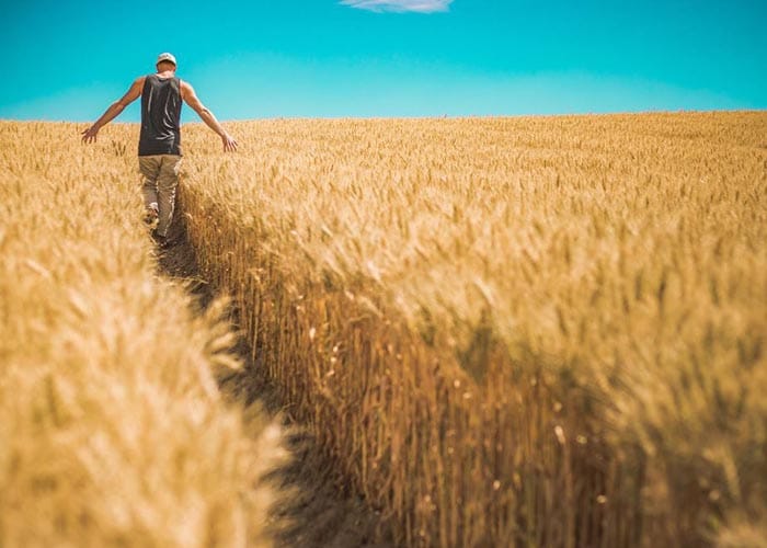 Weather extremes offer reasons to diversify