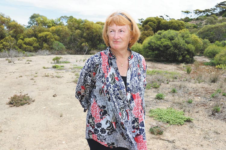 Progression push as Dockside hits hiccup