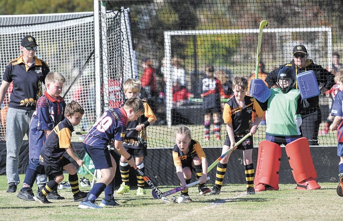 YP hockey scores and reports