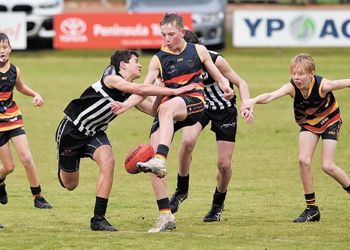 Crows in cruise control against Magpies
