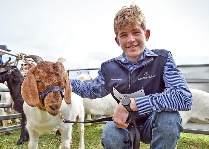 Kidding around on the Copper Coast