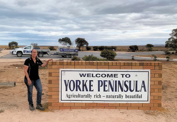 Steeped in Aussie wool