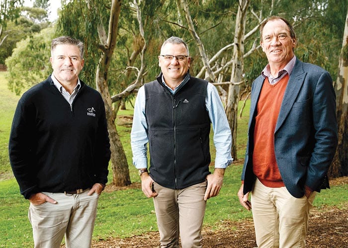 RBS appoints new chairperson